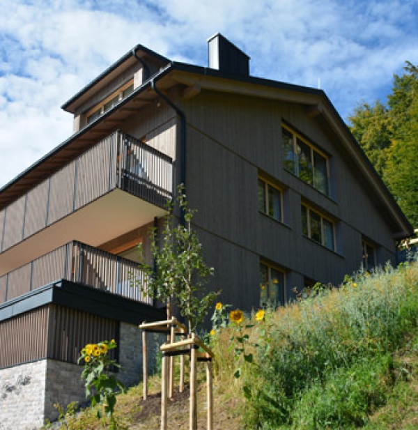 Wohnbebauung in Oberstaufen